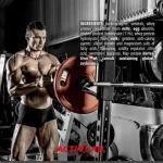 آمینو کمپلکس اکتیو لب ACTIVLAB AMINO COMPLEX