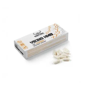 HMB وایکینگ فورس