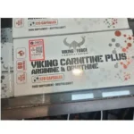 ای ای کی جی وایکینگ فورس