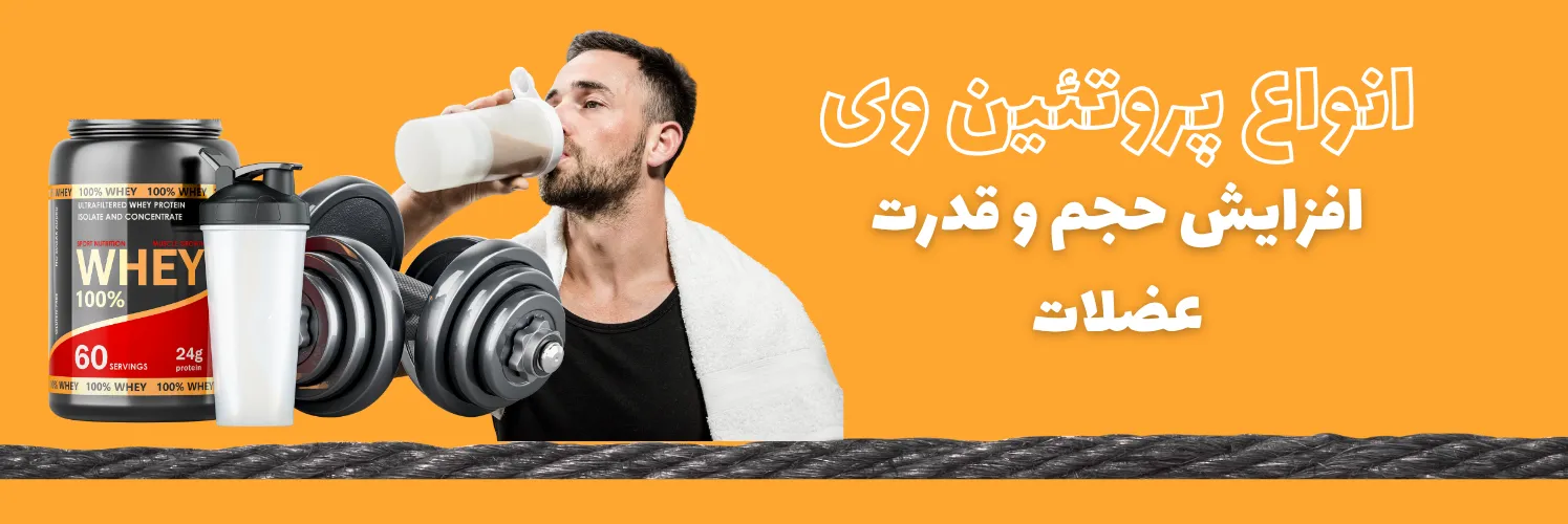 Your paragraph text (4)_11zon