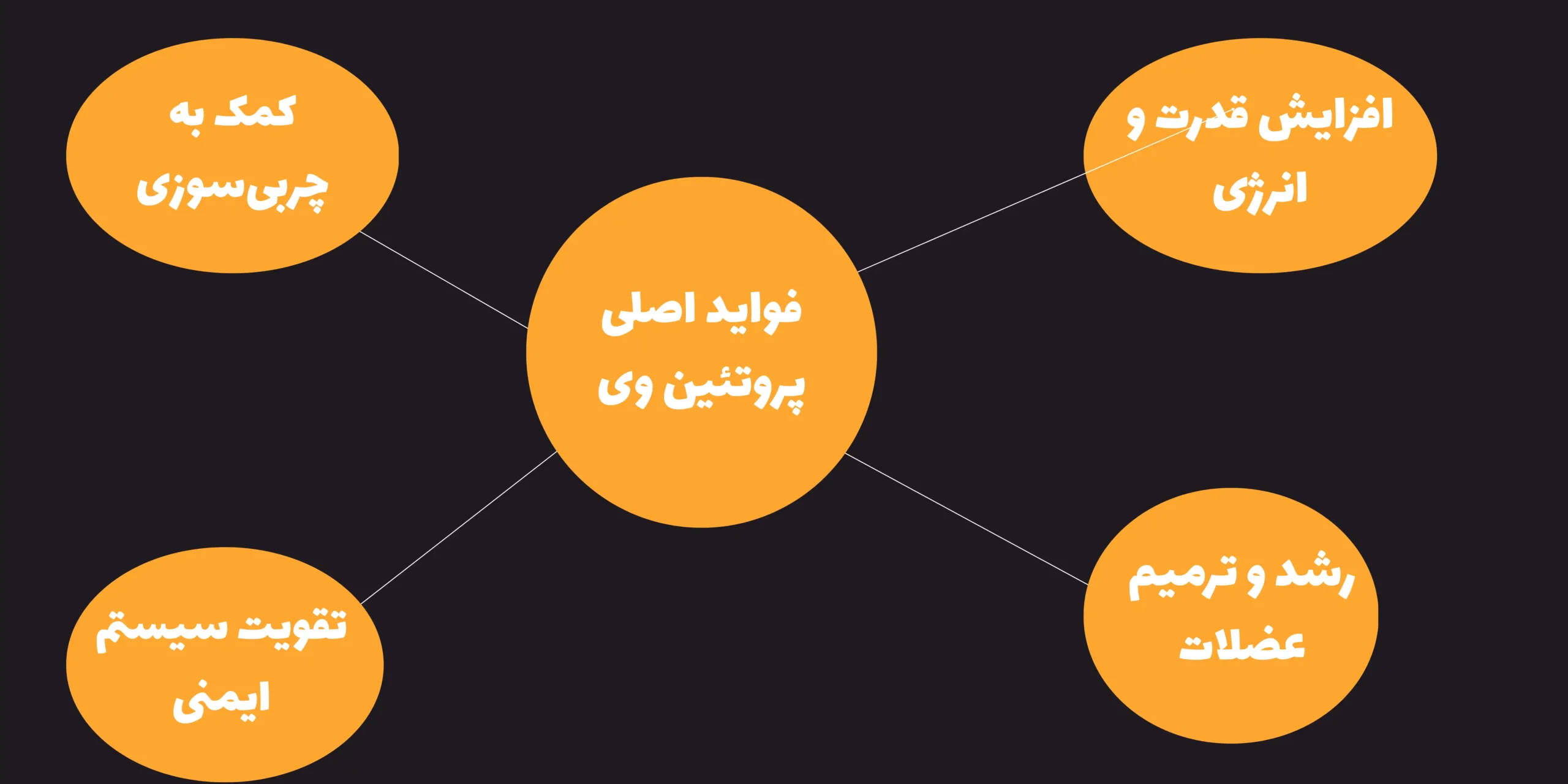 بهترین پروتئین وی 