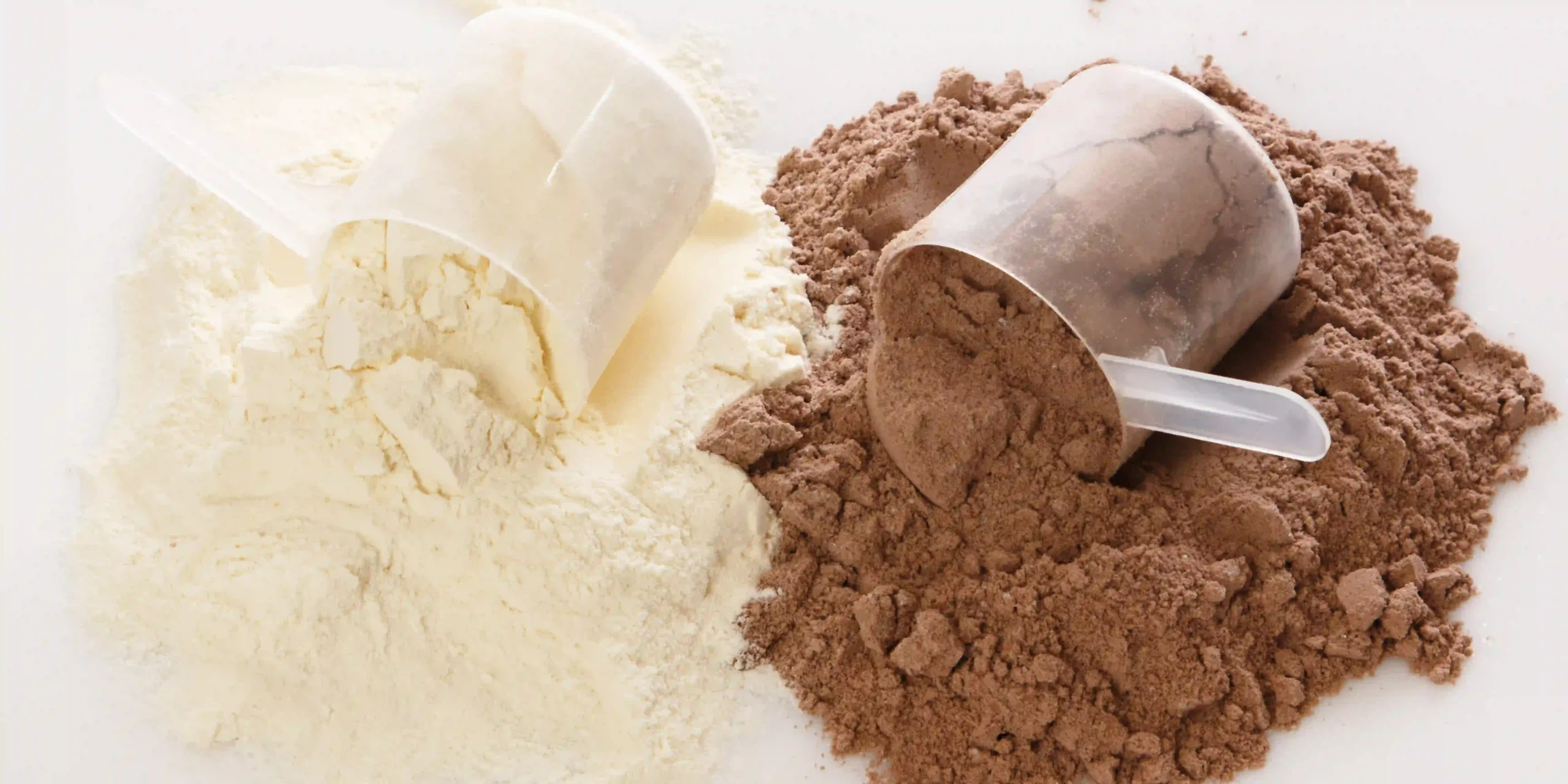 انواع پروتئین وی