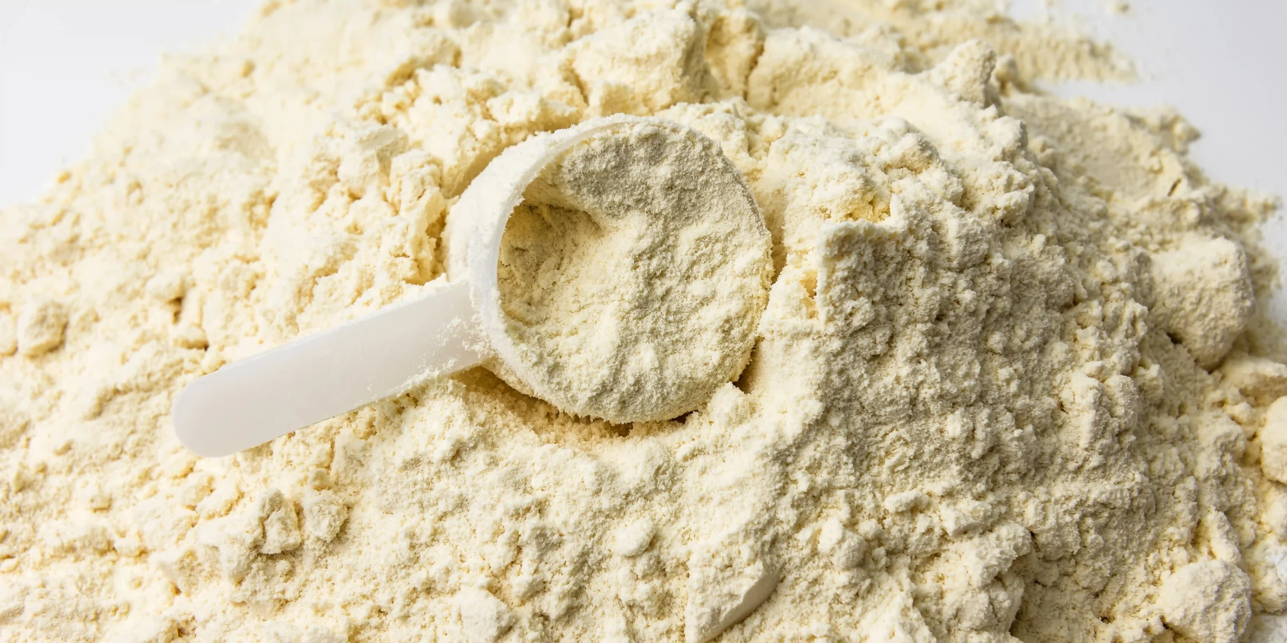 بهترین پروتئین وی